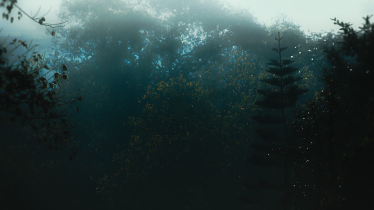 Fragments of Memory: Writing from Dreams